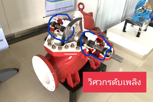 การปรับตั้งค่า Packing Seal