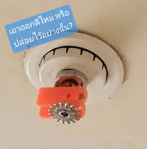 PROTECTIVE CAP/STRAP มีไว้ทำไม แล้วต้องเอาออกหรือไม่?