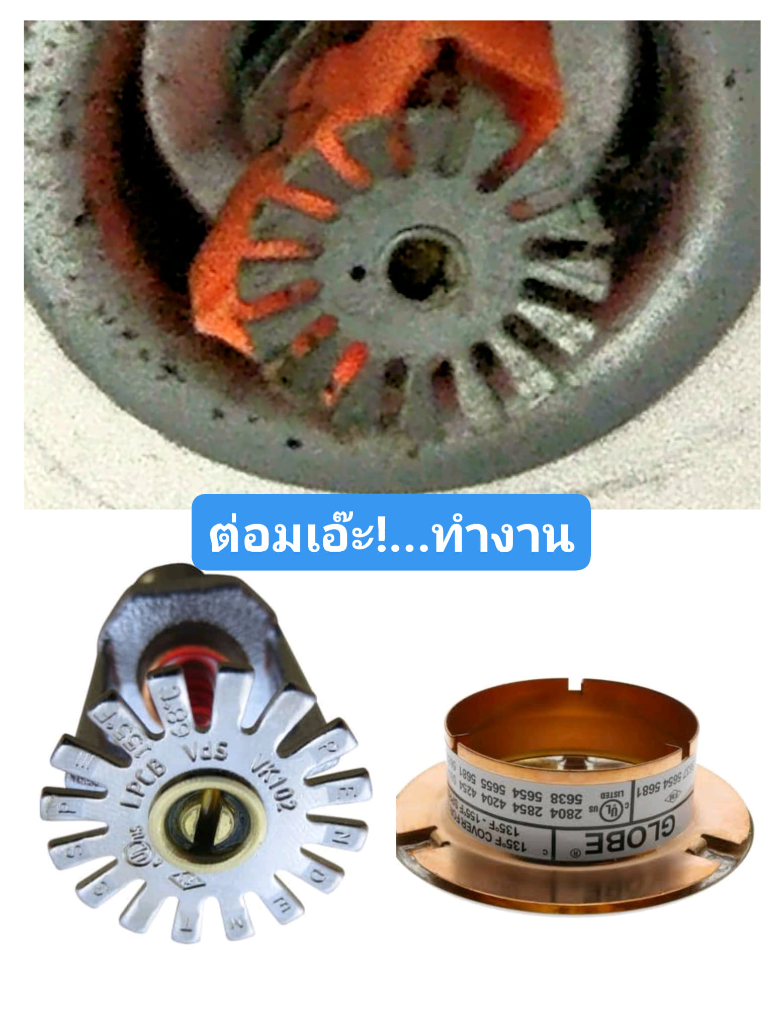 Sprinkler Identification Number บ่งบอกอะไร?